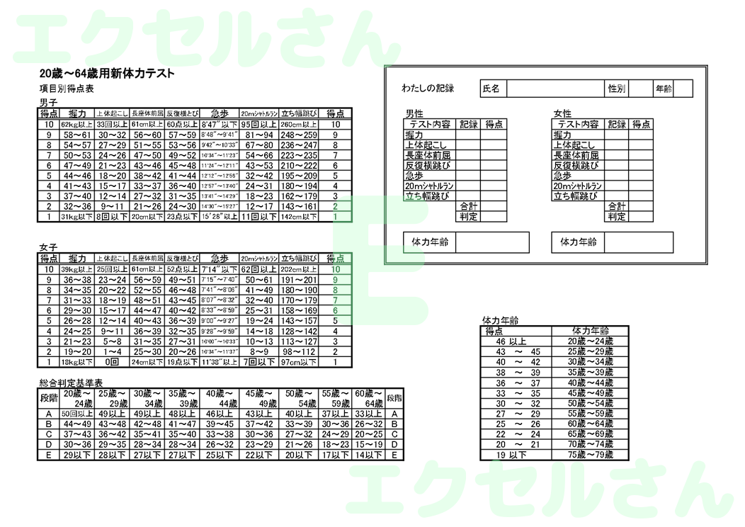 新体力テスト記録表：Excel無料A4テンプレートをダウンロード！分かりやすい書式♪-01619